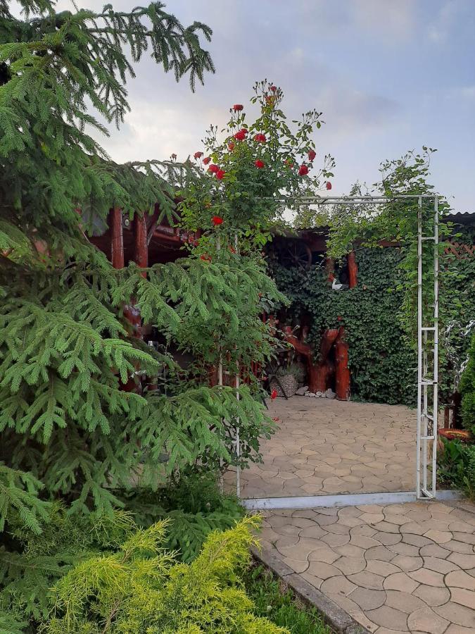 Casa Neagu Ξενοδοχείο Κοβάσνα Εξωτερικό φωτογραφία