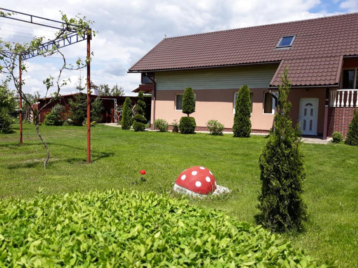 Casa Neagu Ξενοδοχείο Κοβάσνα Εξωτερικό φωτογραφία